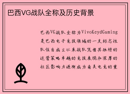 巴西VG战队全称及历史背景