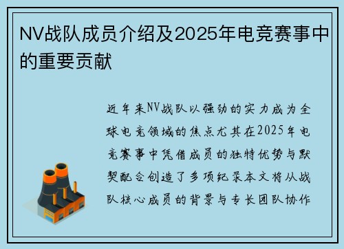 NV战队成员介绍及2025年电竞赛事中的重要贡献
